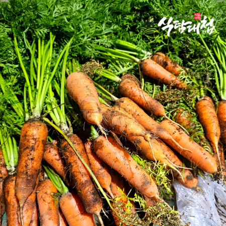 예례마을 제주 구좌 흙당근