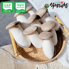 에코팜 무농약 GAP 새송이 버섯 400g