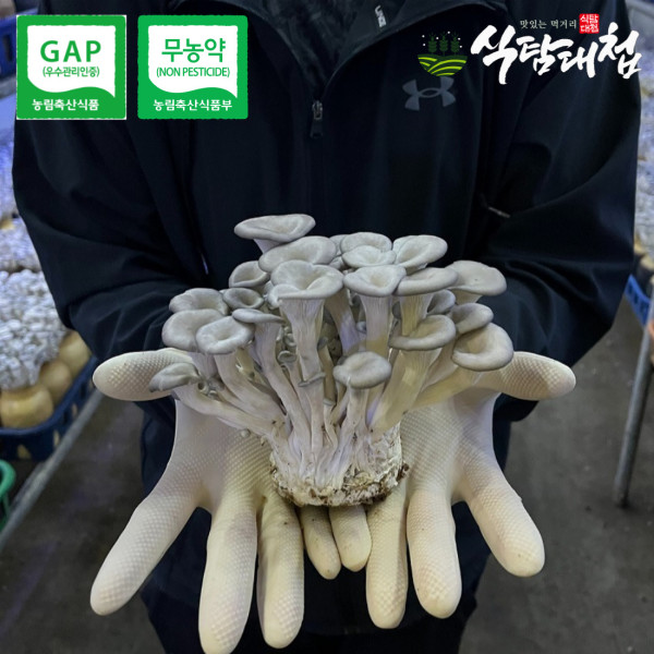 에코팜 무농약 GAP 느타리 버섯 200g